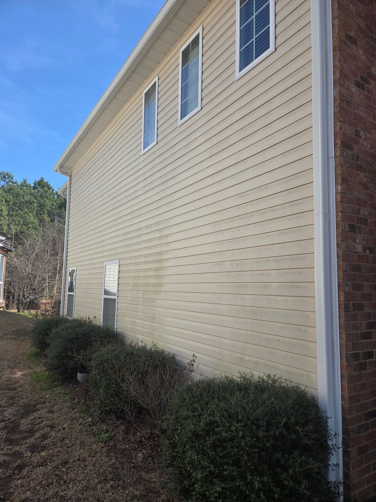Two-story vinyl siding house before soft washing, streaked with algae